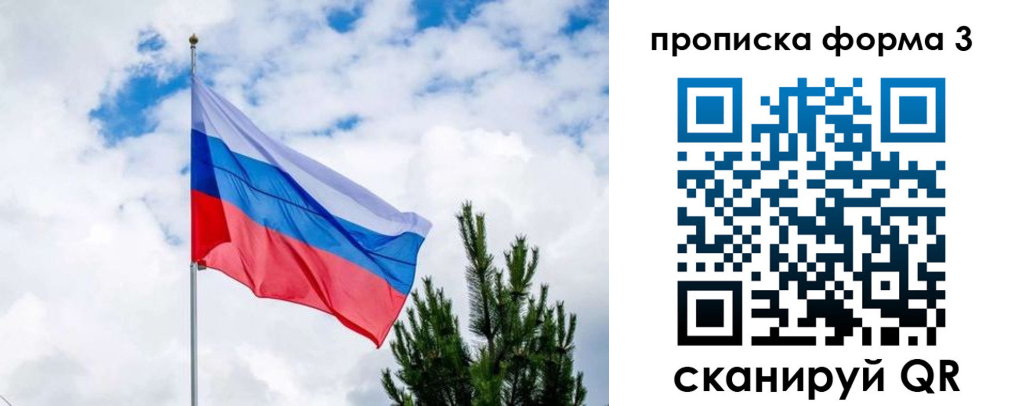 прописка для школы в Лыткарино